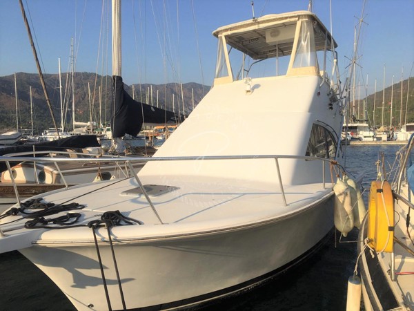 2000 LUHRS 34 CONVERTIBLE