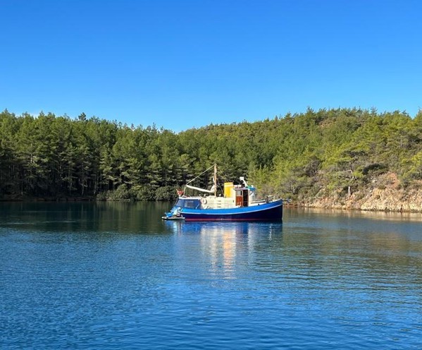 2005 DUDLEY DIX DESIGN ECHO 38 TUG BOAT